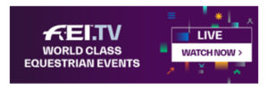 feitv_440x240